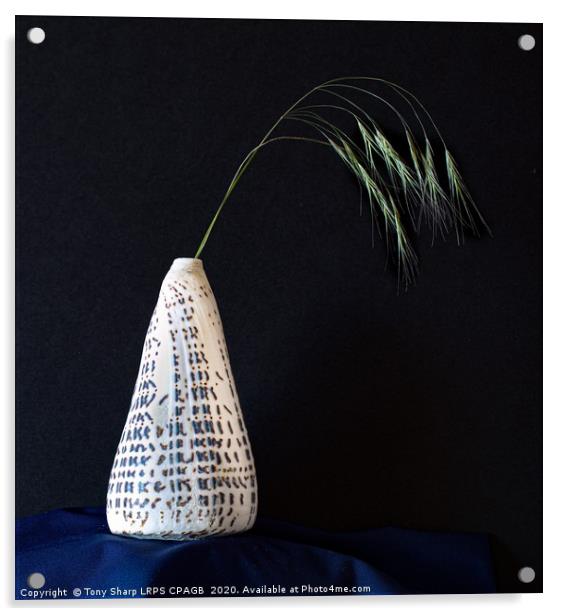 Conidae (Cone Shell)  Vase Displaying Grass Sprig Acrylic by Tony Sharp LRPS CPAGB