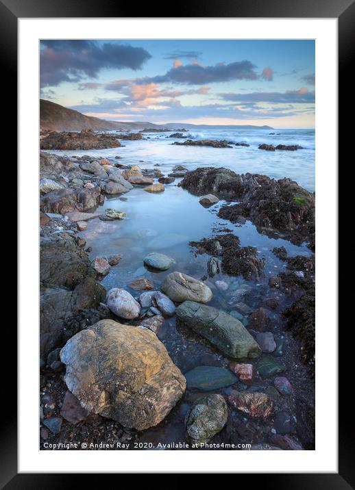 Rocky Shore Portwinkle Framed Mounted Print by Andrew Ray