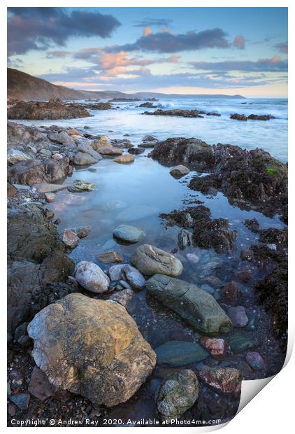 Rocky Shore Portwinkle Print by Andrew Ray