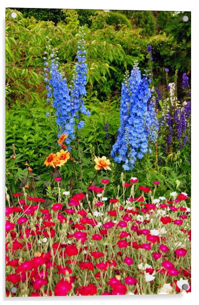Blue Delphiniums Summer Flowers Acrylic by Andy Evans Photos