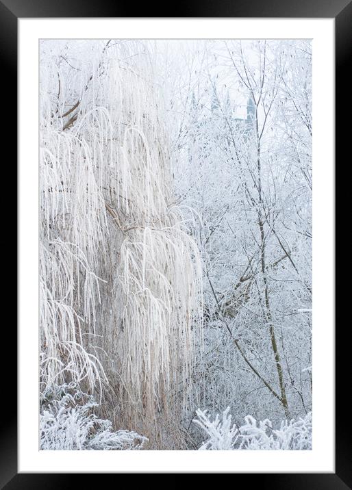 Frost Framed Mounted Print by Andrew Michael