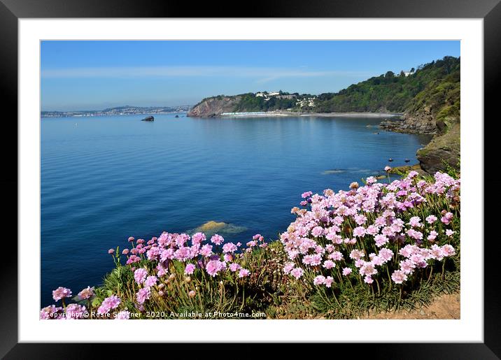 Thrift at Thatcher Point in Torquay in South Devon Framed Mounted Print by Rosie Spooner