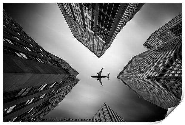 Fly By Print by Martin Williams