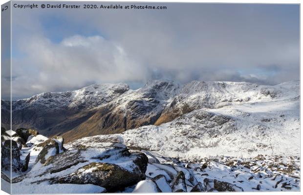 Scafell and Scafell Pike from Bow Fell, Lake Distr Canvas Print by David Forster