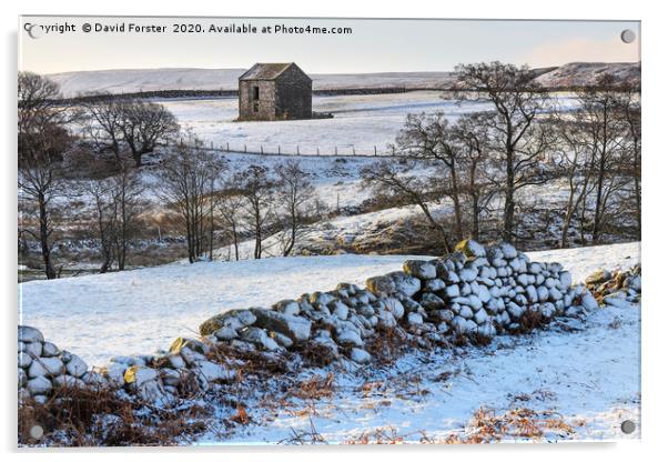 North Pennine Winter Wonderland, Teesdale, County  Acrylic by David Forster
