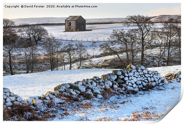 North Pennine Winter Wonderland, Teesdale, County  Print by David Forster