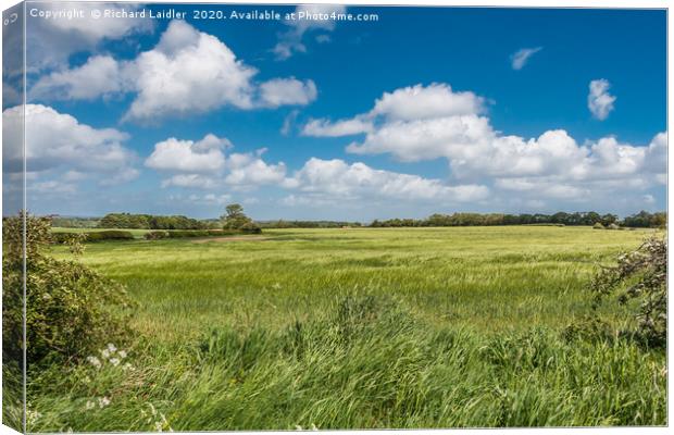 Blowing in the Wind Canvas Print by Richard Laidler