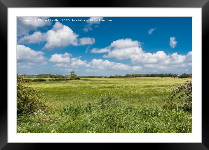 Blowing in the Wind Framed Mounted Print by Richard Laidler
