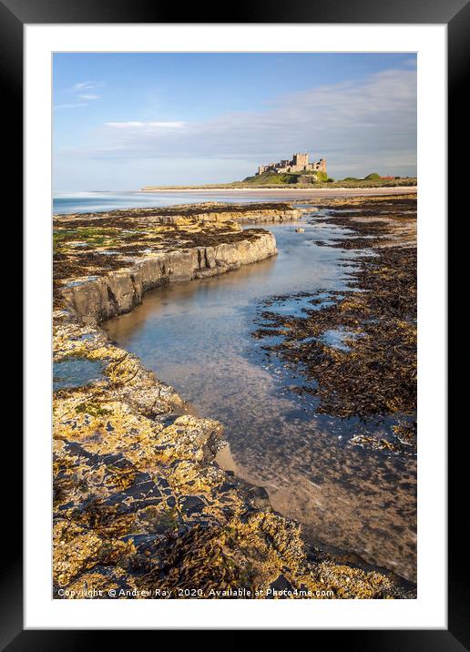 Bamburgh Ledges Framed Mounted Print by Andrew Ray