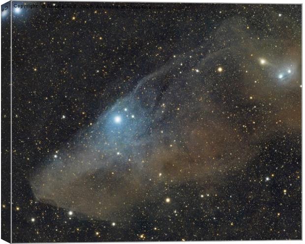 blue horsehead nebula, astrophotography, dso, spac Canvas Print by Angela Aird