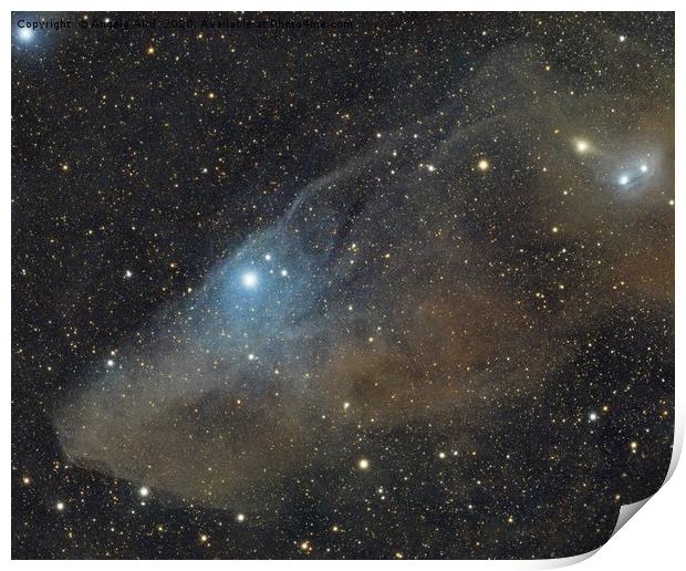 blue horsehead nebula, astrophotography, dso, spac Print by Angela Aird
