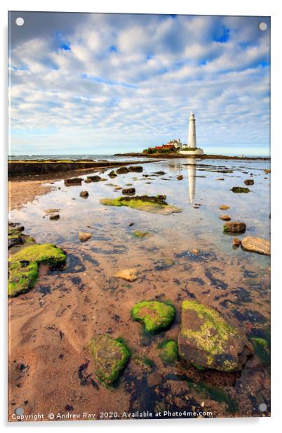 St Mary's Lighthouse Acrylic by Andrew Ray