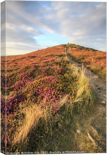 Path to St Agnes Beacon   Canvas Print by Andrew Ray