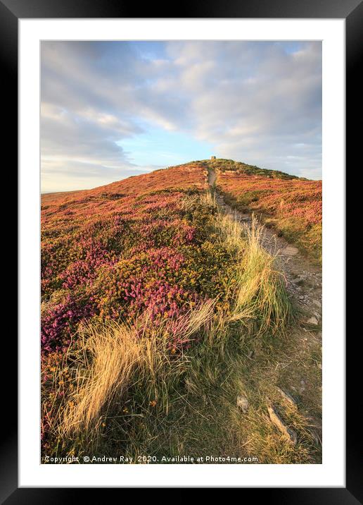 Path to St Agnes Beacon   Framed Mounted Print by Andrew Ray