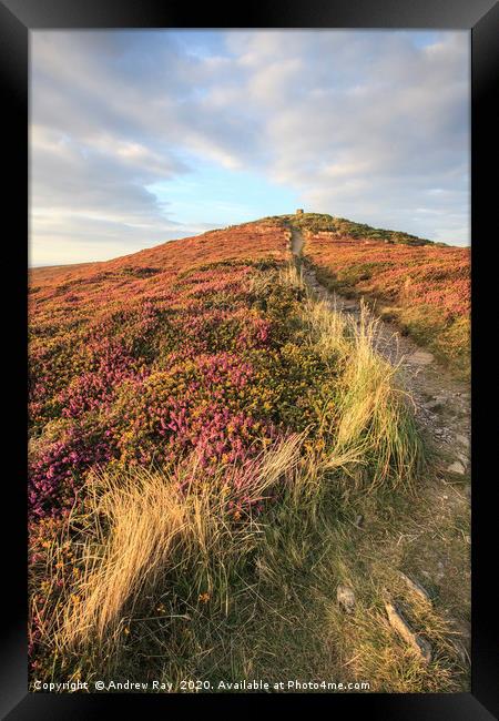 Path to St Agnes Beacon   Framed Print by Andrew Ray