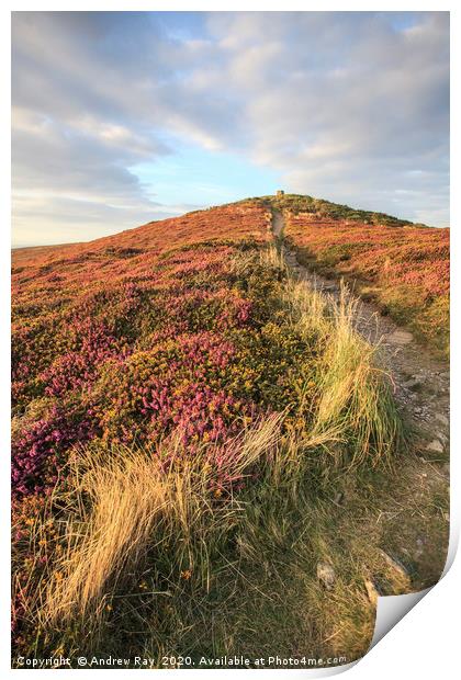Path to St Agnes Beacon   Print by Andrew Ray