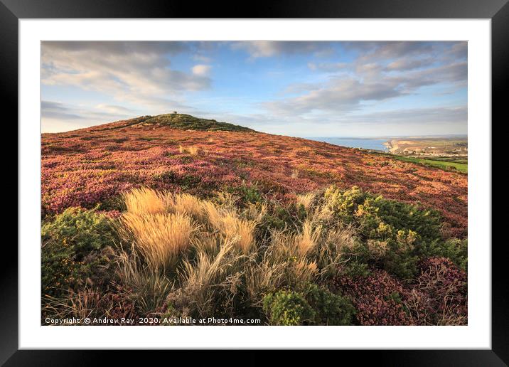St Agnes Beacon  Framed Mounted Print by Andrew Ray