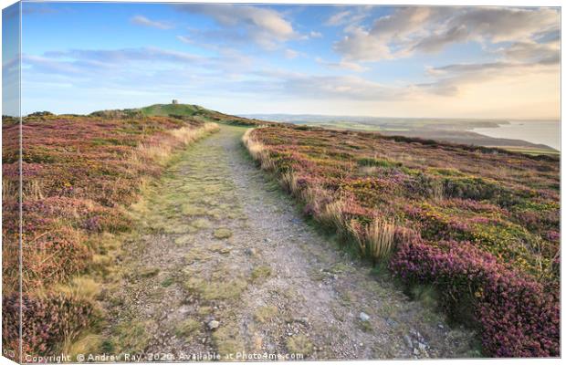 St Agnes Beacon View   Canvas Print by Andrew Ray