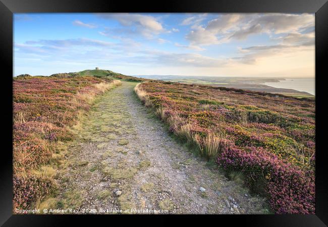 St Agnes Beacon View   Framed Print by Andrew Ray