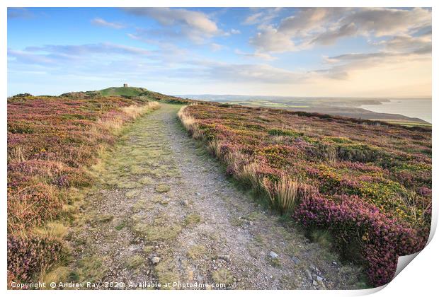 St Agnes Beacon View   Print by Andrew Ray