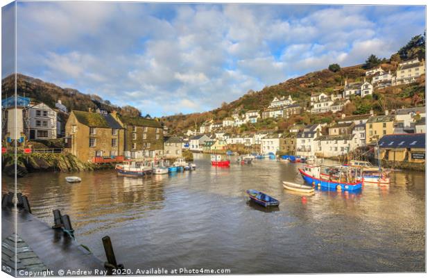 Morning at Polperro Canvas Print by Andrew Ray