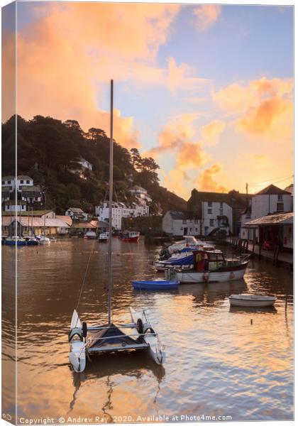 Sunrise at Polperro Canvas Print by Andrew Ray