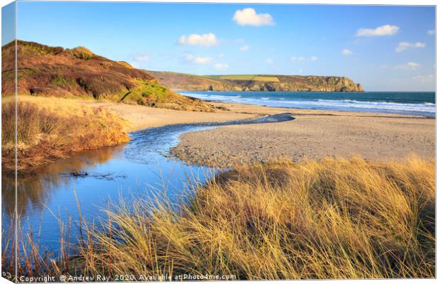 Pendower Beach Canvas Print by Andrew Ray