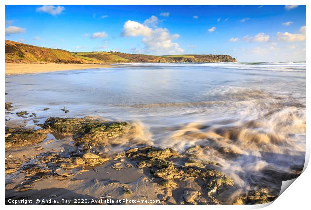 Pendower View Print by Andrew Ray