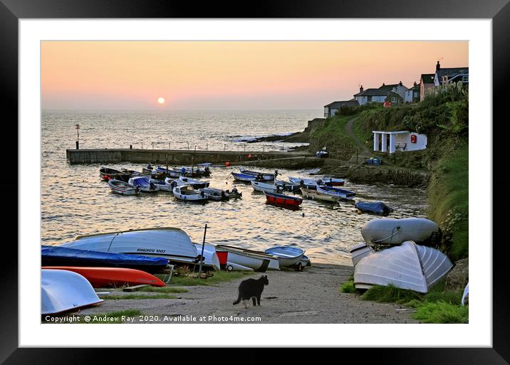 Sunrise at Portscatho   Framed Mounted Print by Andrew Ray