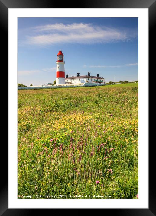 Souter Lighthouse Framed Mounted Print by Andrew Ray