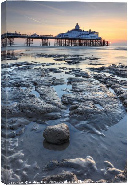 Towards Eastbourne Pier Canvas Print by Andrew Ray