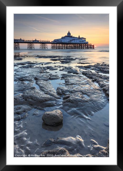 Towards Eastbourne Pier Framed Mounted Print by Andrew Ray