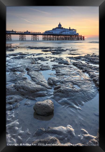 Towards Eastbourne Pier Framed Print by Andrew Ray