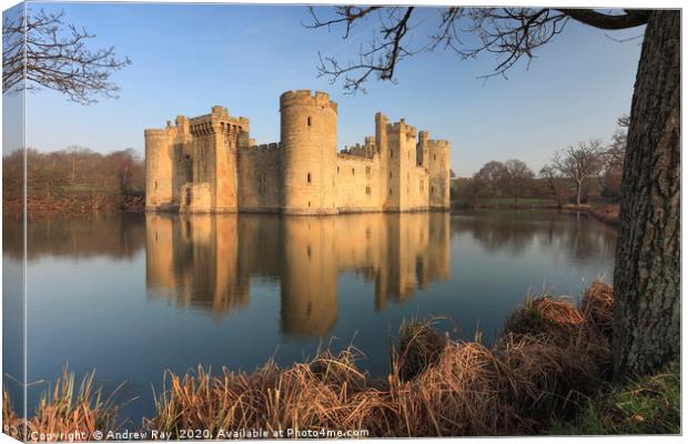 Tree's at Bodiam Castle Canvas Print by Andrew Ray