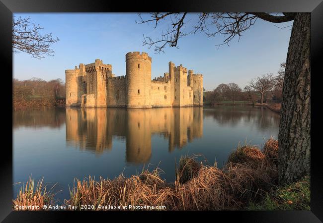 Tree's at Bodiam Castle Framed Print by Andrew Ray
