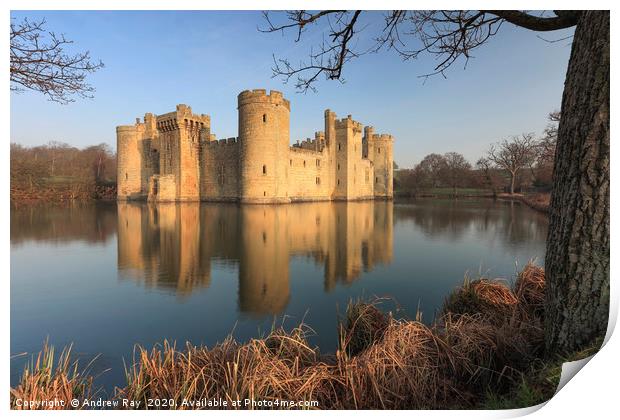 Tree's at Bodiam Castle Print by Andrew Ray