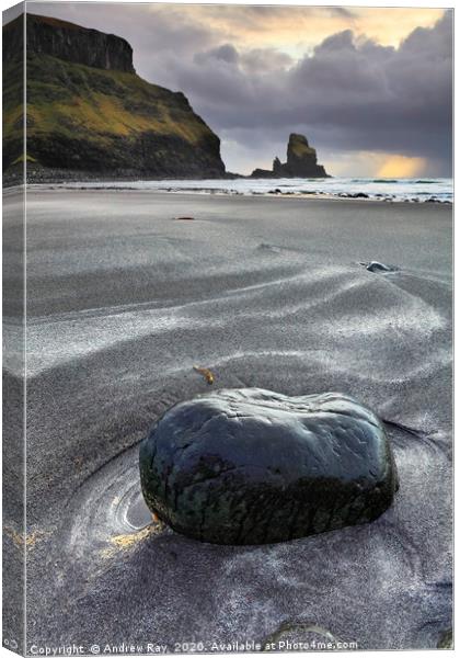 Talisker Beach Canvas Print by Andrew Ray