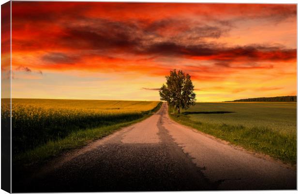 Sunset over empty countryside road. Summer evening Canvas Print by Sergey Fedoskin