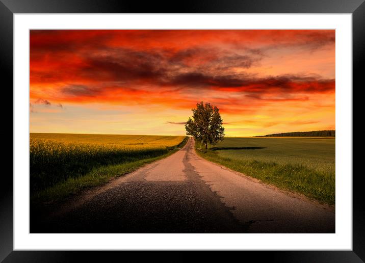 Sunset over empty countryside road. Summer evening Framed Mounted Print by Sergey Fedoskin