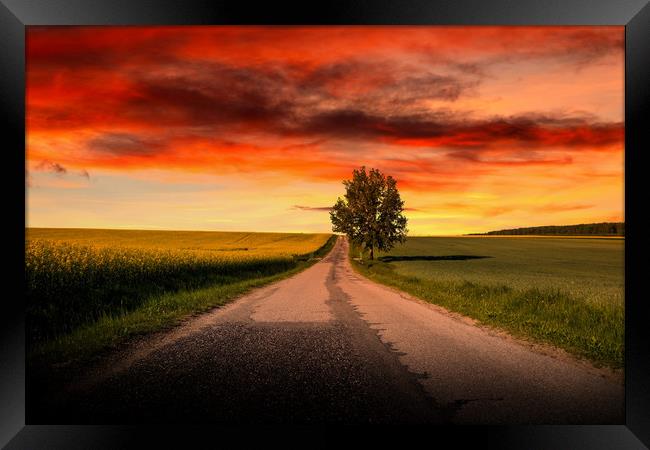 Sunset over empty countryside road. Summer evening Framed Print by Sergey Fedoskin