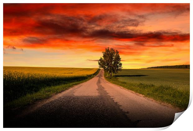 Sunset over empty countryside road. Summer evening Print by Sergey Fedoskin