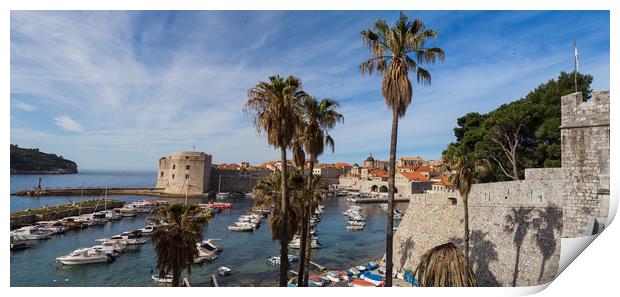 Panorama of Dubrovnik harour Print by Jason Wells