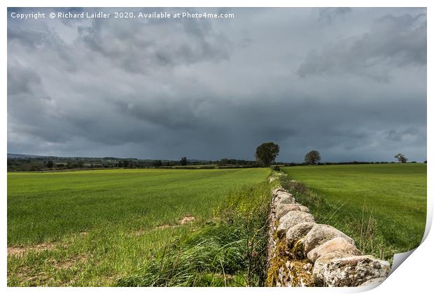 Wall to the Squall Print by Richard Laidler