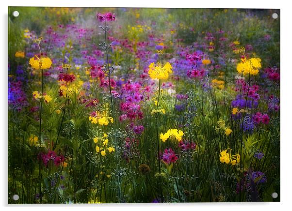 Meadow Heaven Acrylic by Wayne Shipley