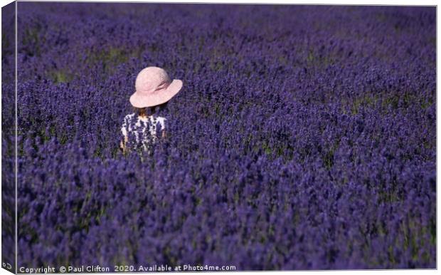 Loving lavender. Canvas Print by Paul Clifton