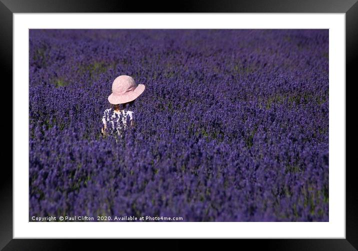 Loving lavender. Framed Mounted Print by Paul Clifton