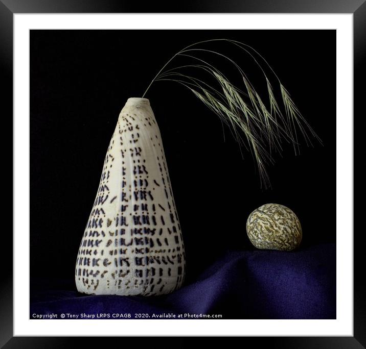 Cone Shell Vase Displaying Grass Sprig and Pebble Framed Mounted Print by Tony Sharp LRPS CPAGB