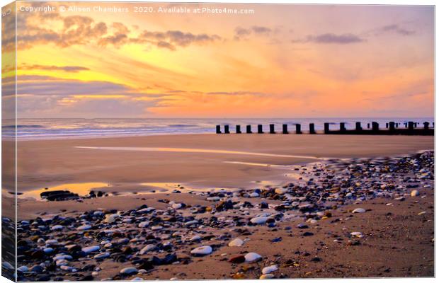 Bridlington Pebbles And Puddles Canvas Print by Alison Chambers