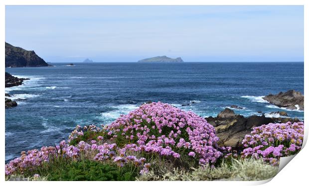 Coastal views Print by barbara walsh