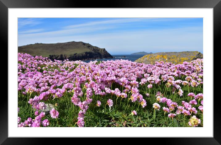 Pink heaven Framed Mounted Print by barbara walsh